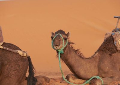 3-Day Desert Tour from Marrakech to Fes 