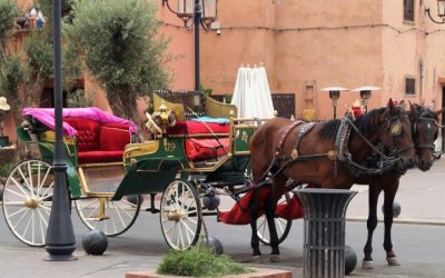 6-Day Tour from Marrakech to Essaouira